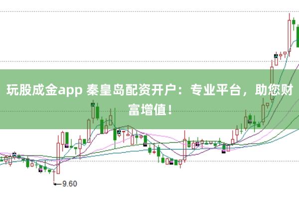 玩股成金app 秦皇岛配资开户：专业平台，助您财富增值！