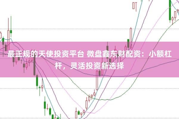 最正规的天使投资平台 微盘鑫东财配资：小额杠杆，灵活投资新选择
