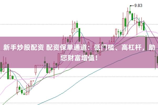 新手炒股配资 配资保单通道：低门槛、高杠杆，助您财富增值！