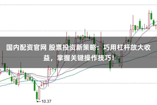 国内配资官网 股票投资新策略:巧用杠杆放大收益,掌握关键操作技巧!
