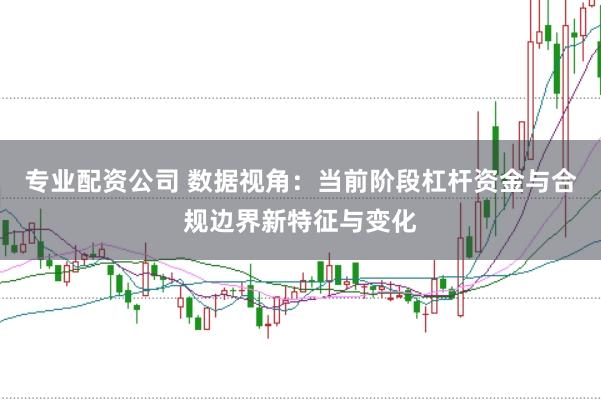 专业配资公司 数据视角:当前阶段杠杆资金与合规边界新特征与变化