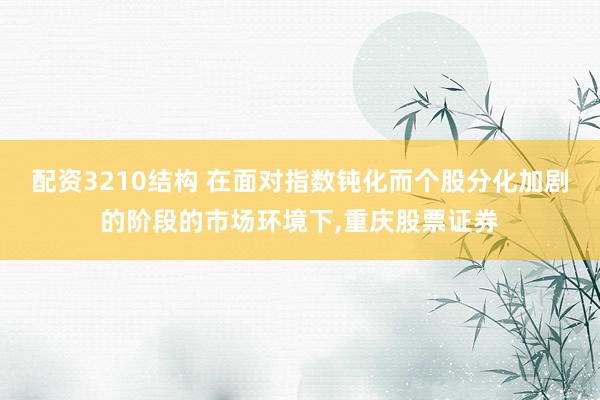 配资3210结构 在面对指数钝化而个股分化加剧的阶段的市场环境下，重庆股票证券