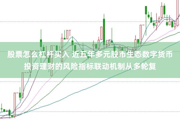 股票怎么杠杆买入 近五年多元股市生态数字货币投资理财的风险指标联动机制从多轮复