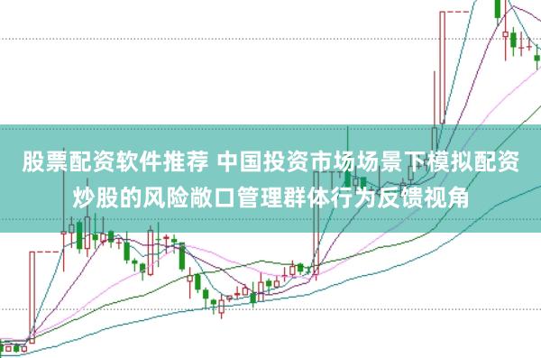 股票配资软件推荐 中国投资市场场景下模拟配资炒股的风险敞口管理群体行为反馈视角