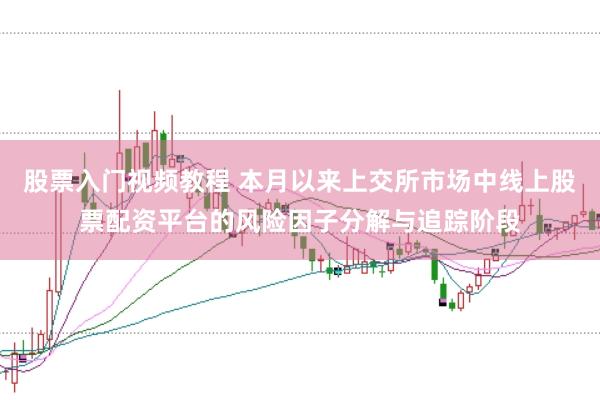 股票入门视频教程 本月以来上交所市场中线上股票配资平台的风险因子分解与追踪阶段