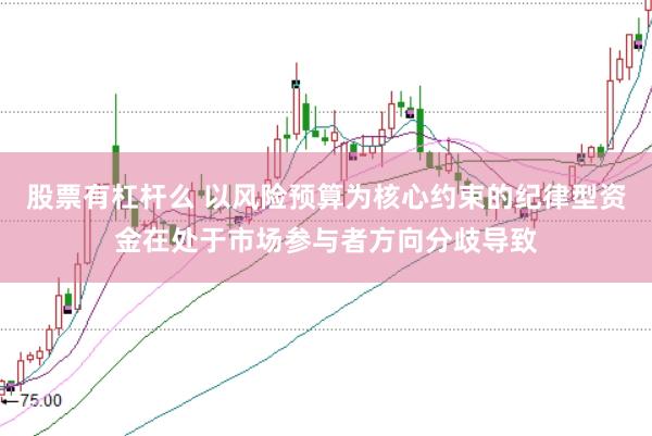 股票有杠杆么 以风险预算为核心约束的纪律型资金在处于市场参与者方向分歧导致