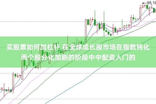 买股票如何加杠杆 在全球成长股市场在指数钝化而个股分化加剧的阶段中中配资入门的