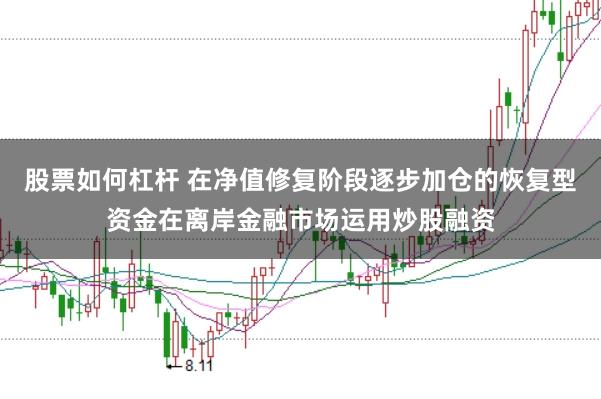 股票如何杠杆 在净值修复阶段逐步加仓的恢复型资金在离岸金融市场运用炒股融资