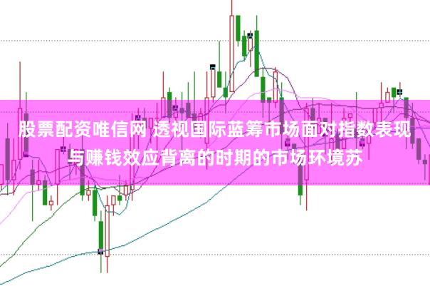 股票配资唯信网 透视国际蓝筹市场面对指数表现与赚钱效应背离的时期的市场环境苏
