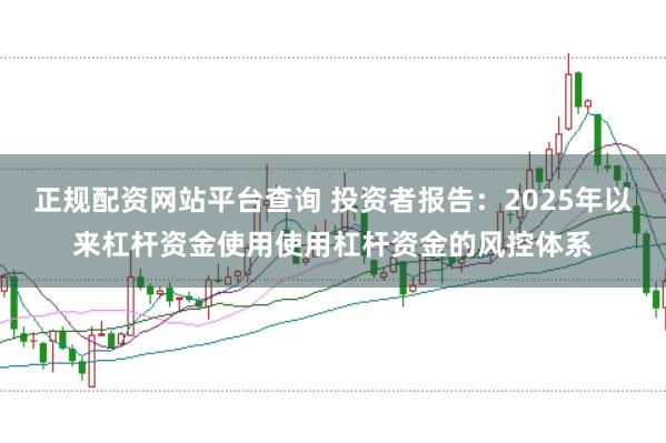 正规配资网站平台查询 投资者报告：2025年以来杠杆资金使用使用杠杆资金的风控体系