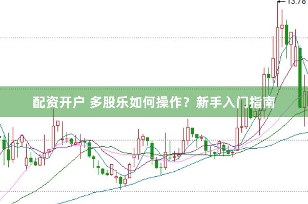 配资开户 多股乐如何操作?新手入门指南