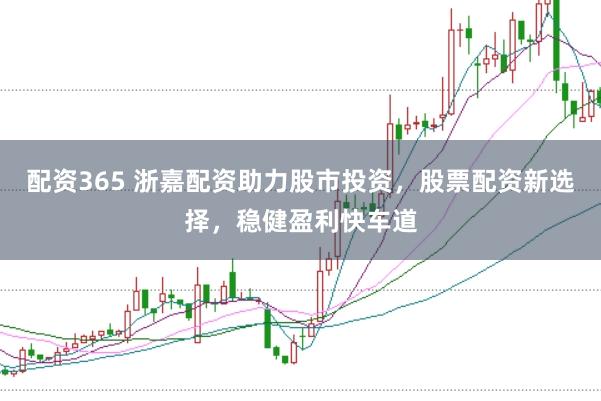 配资365 浙嘉配资助力股市投资,股票配资新选择,稳健盈利快车道