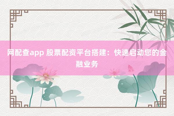 网配查app 股票配资平台搭建：快速启动您的金融业务