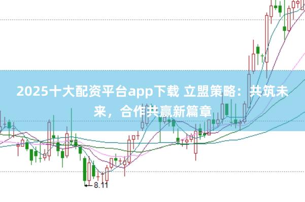 2025十大配资平台app下载 立盟策略：共筑未来，合作共赢新篇章