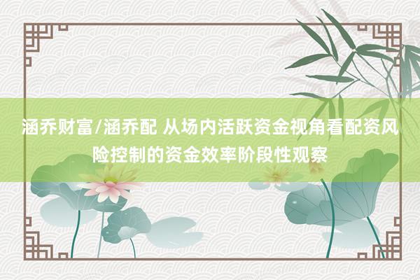 涵乔财富/涵乔配 从场内活跃资金视角看配资风险控制的资金效率阶段性观察
