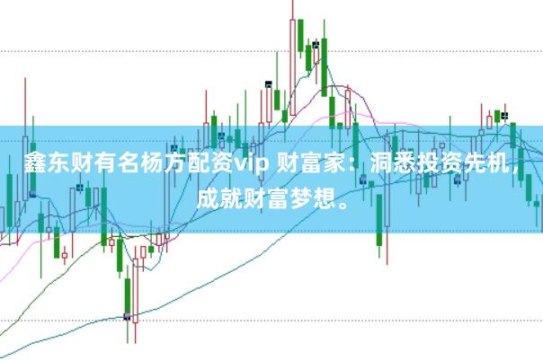 鑫东财有名杨方配资vip 财富家：洞悉投资先机，成就财富梦想。