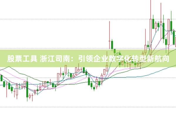 股票工具 浙江司南:引领企业数字化转型新航向