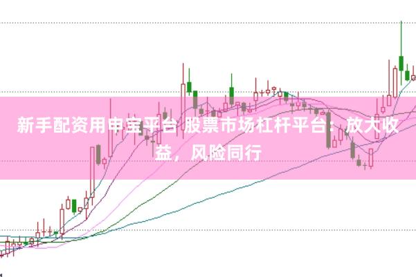 新手配资用申宝平台 股票市场杠杆平台:放大收益,风险同行
