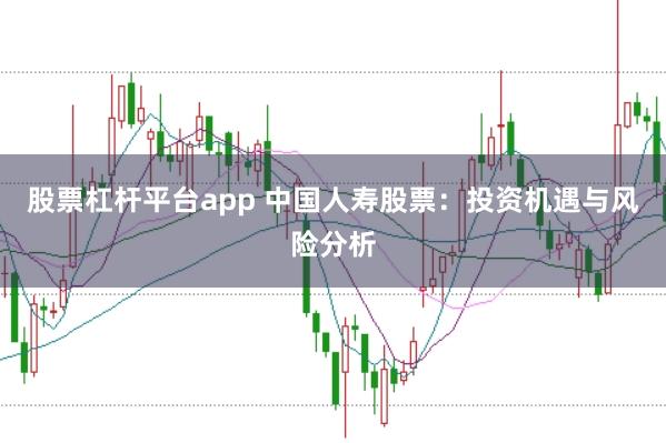 股票杠杆平台app 中国人寿股票：投资机遇与风险分析