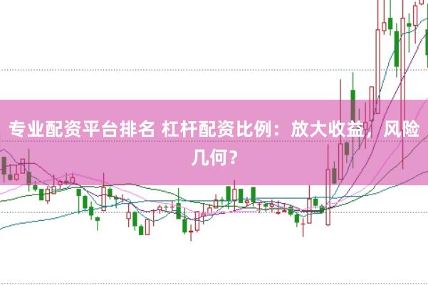 专业配资平台排名 杠杆配资比例：放大收益，风险几何？
